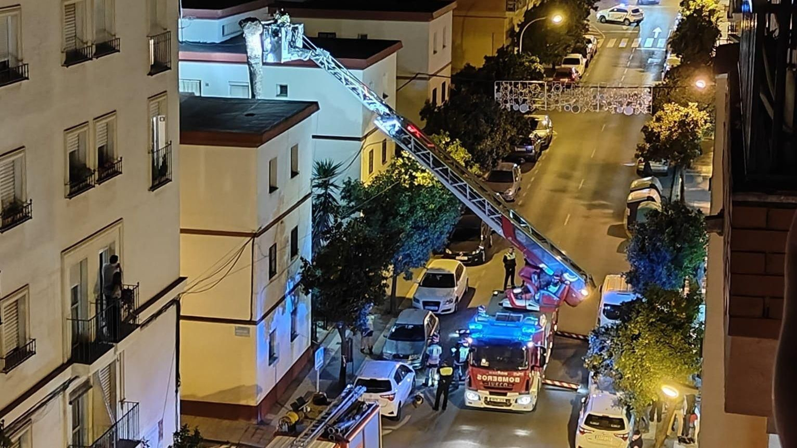 La zona afectada por el desprendimiento de la palmera.