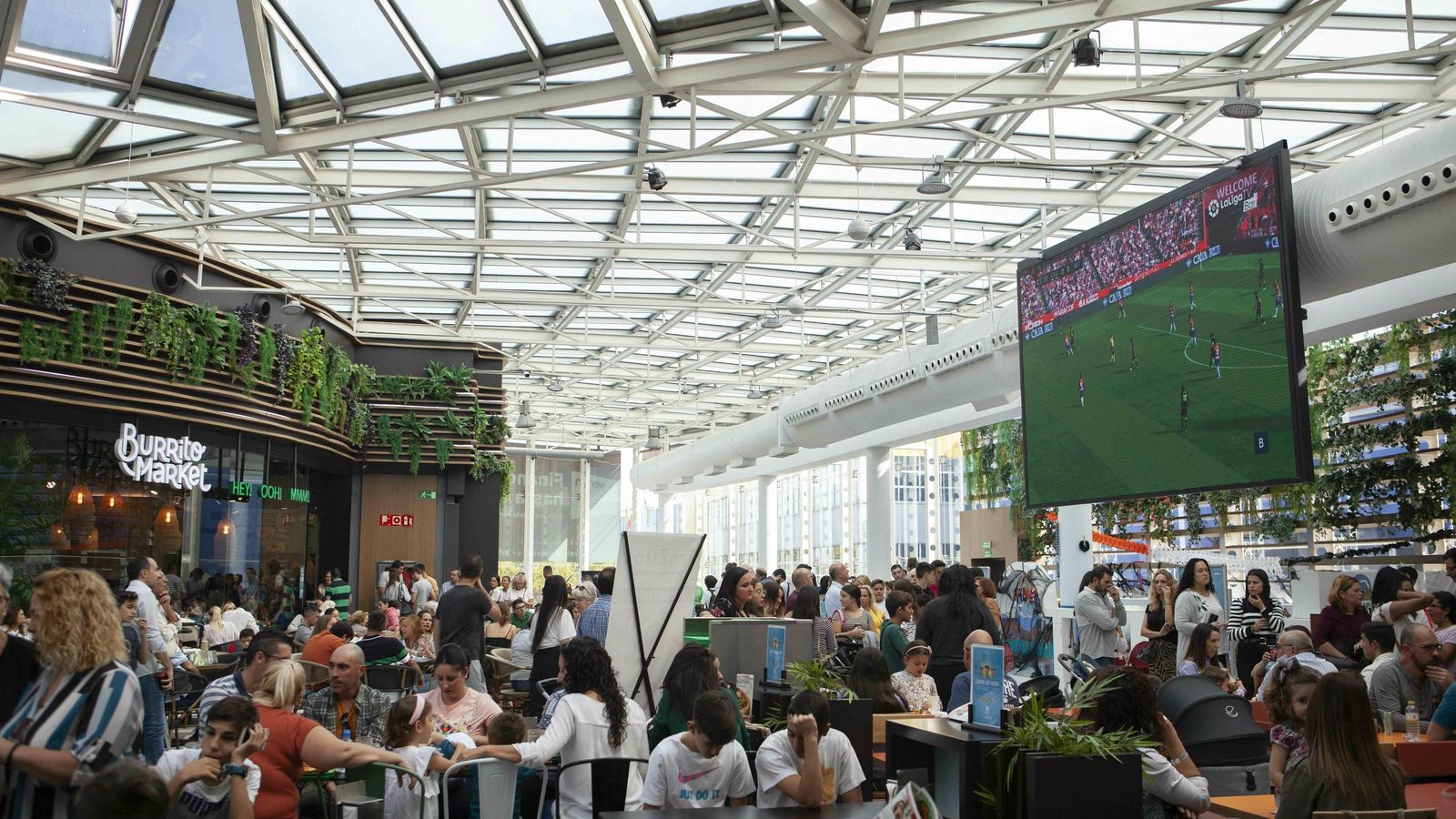 Más de 3.000 personas acudieron a jornada inaugural de la 'Cool Zone'.