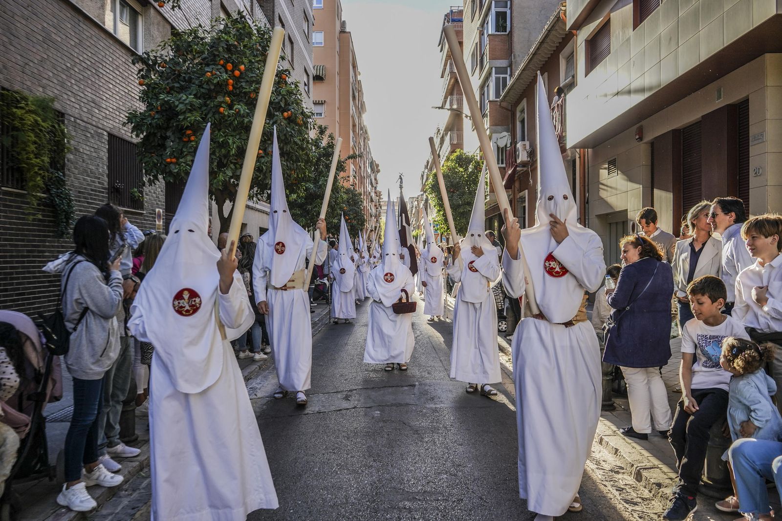 Crónica gráfica del Domingo de Ramos en Granada