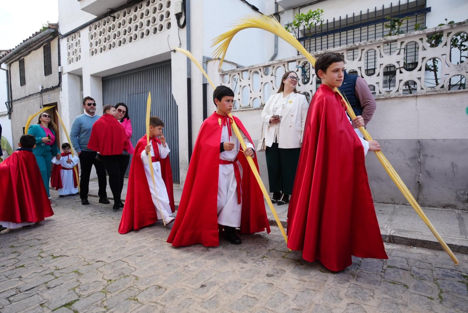 La procesión de la Borriquita en Pozoblanco