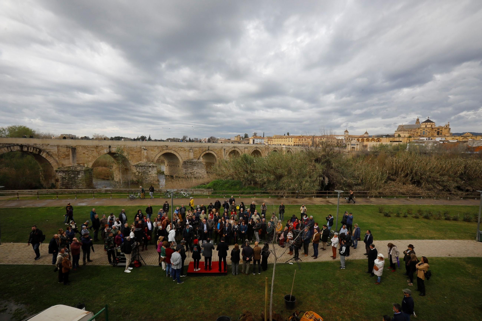 El árbol que siempre recordará a Pepe Larios en Córdoba, en imágenes