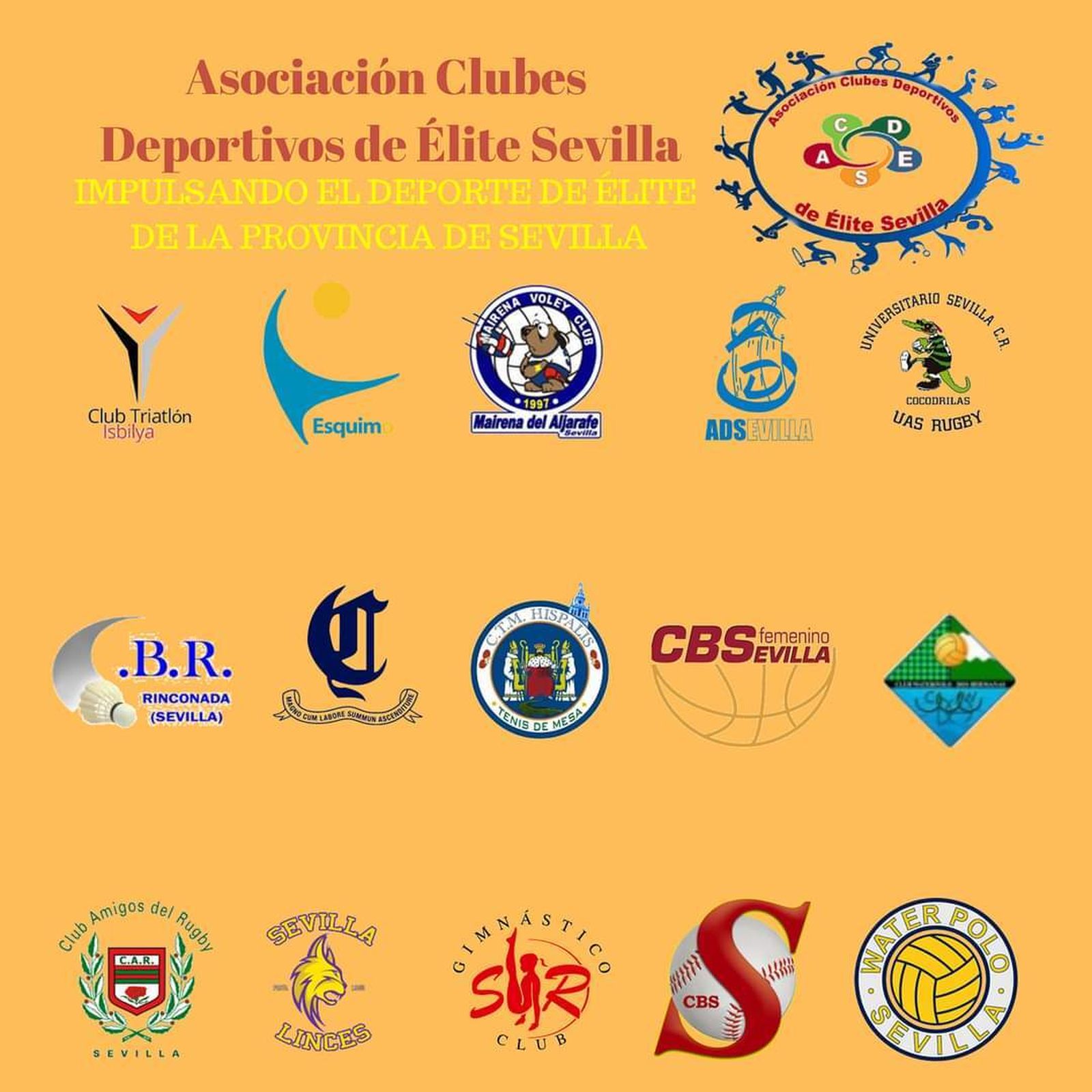 Los clubes que integran la asociación.