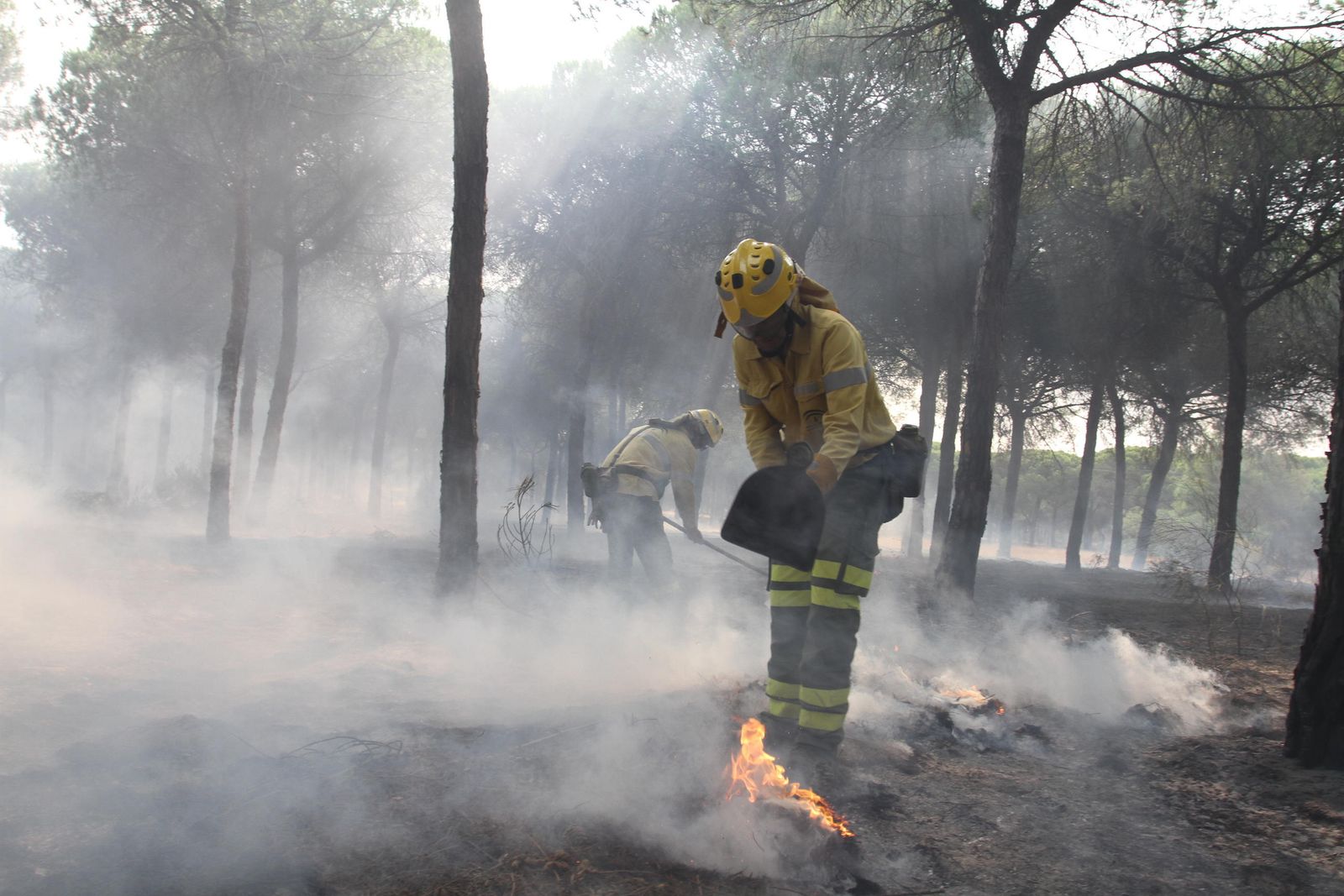 Las imágenes del incendio en Moguer y Mazagón