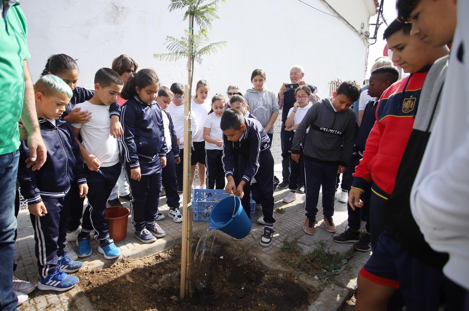 Imágenes la plantación de árboles en la Barriada de la Navidad por alumnos del Colegio Virgen de Belén