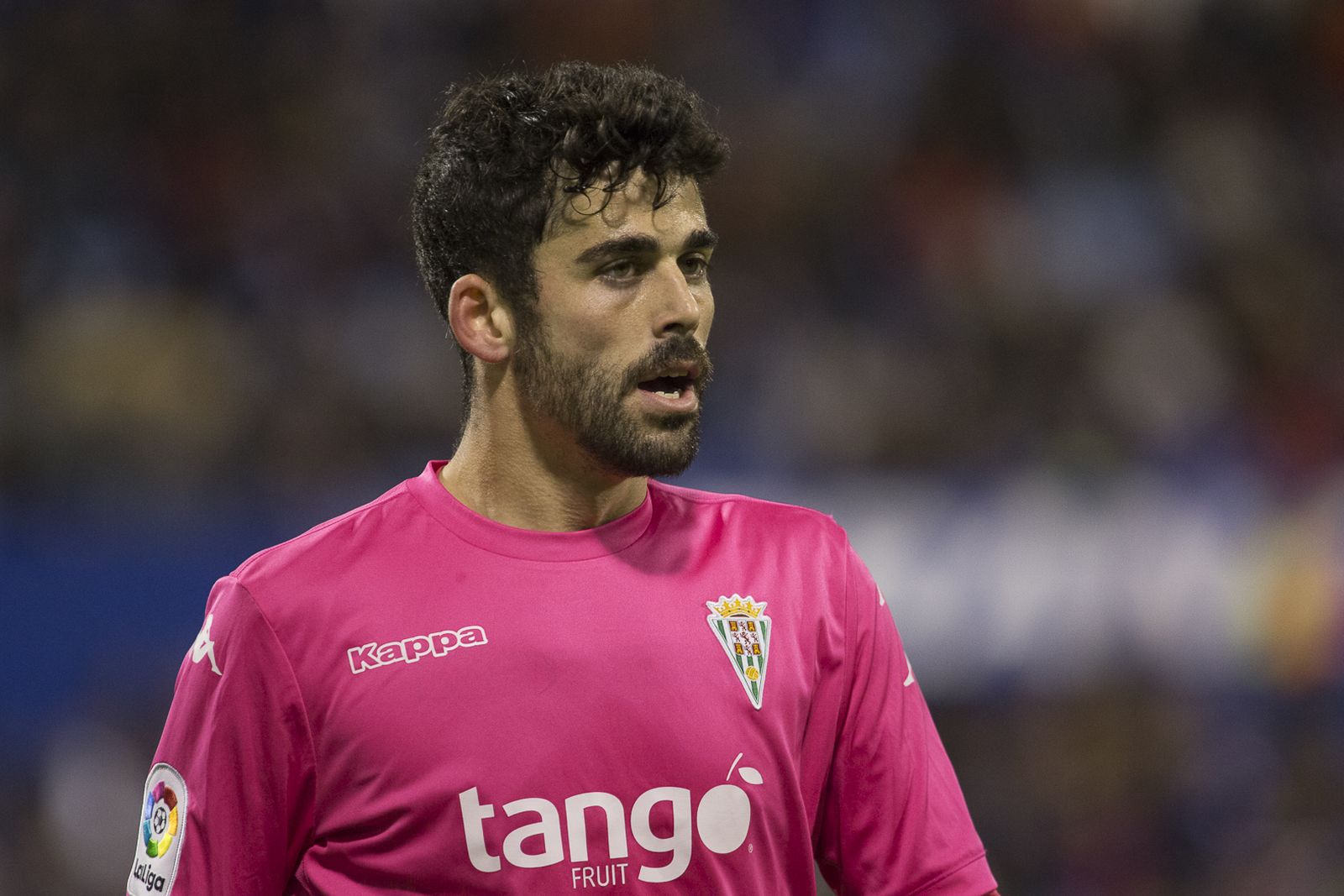 Las imágenes del Zaragoza-Córdoba