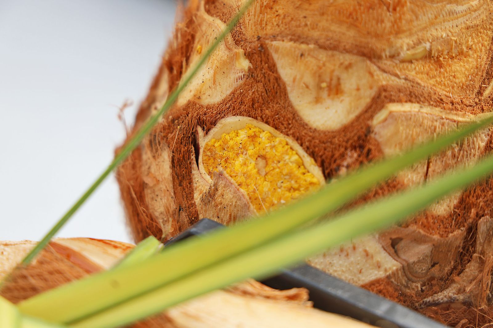 Las imágenes más destacadas del sábado 25 de enero en Huelva