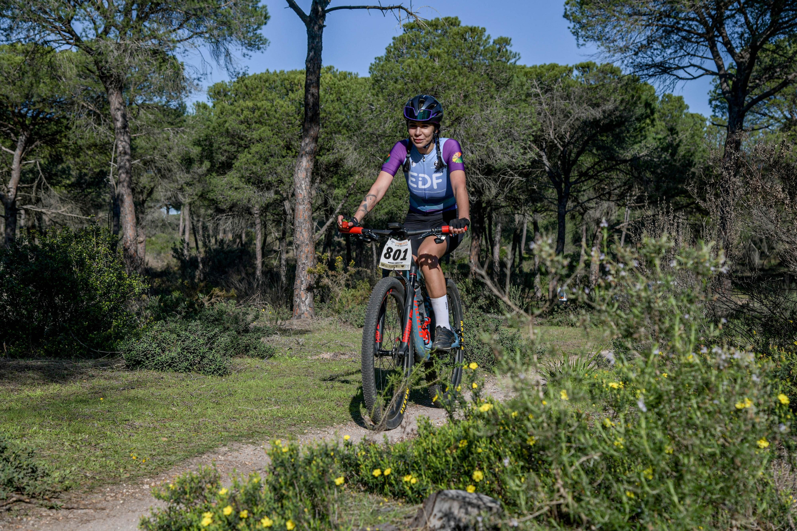 Las imágenes de la tercera etapa de La Leyenda de Tartessos by Alé