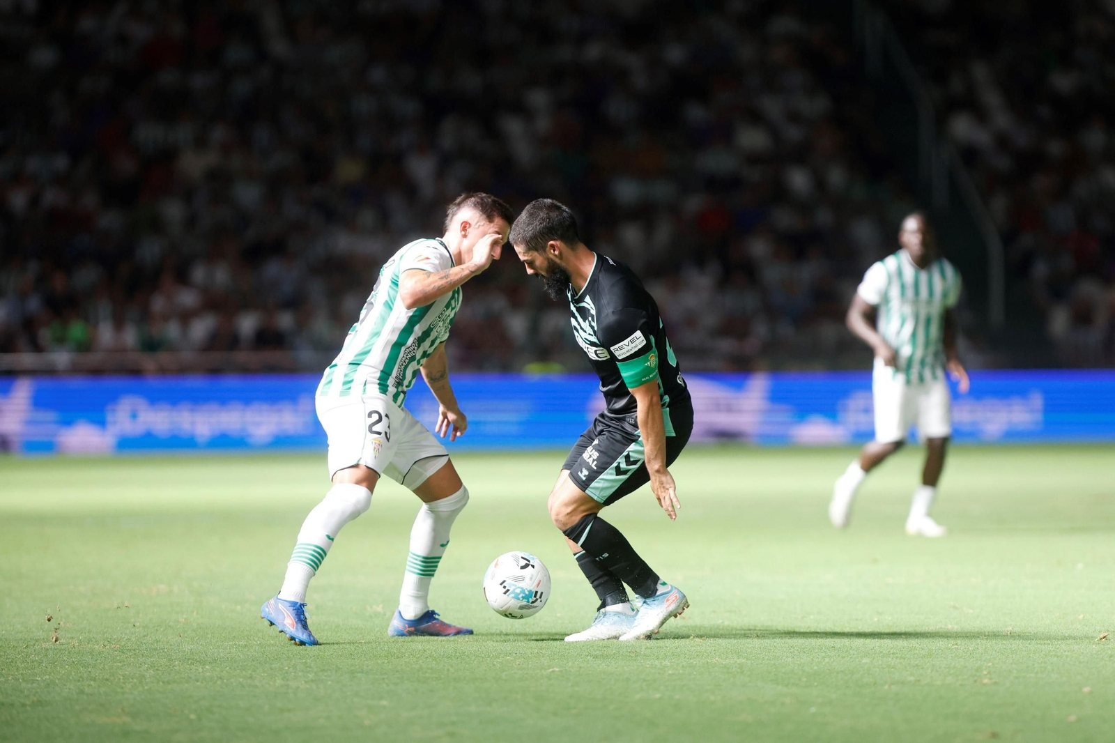 Las fotos del Córdoba - Betis