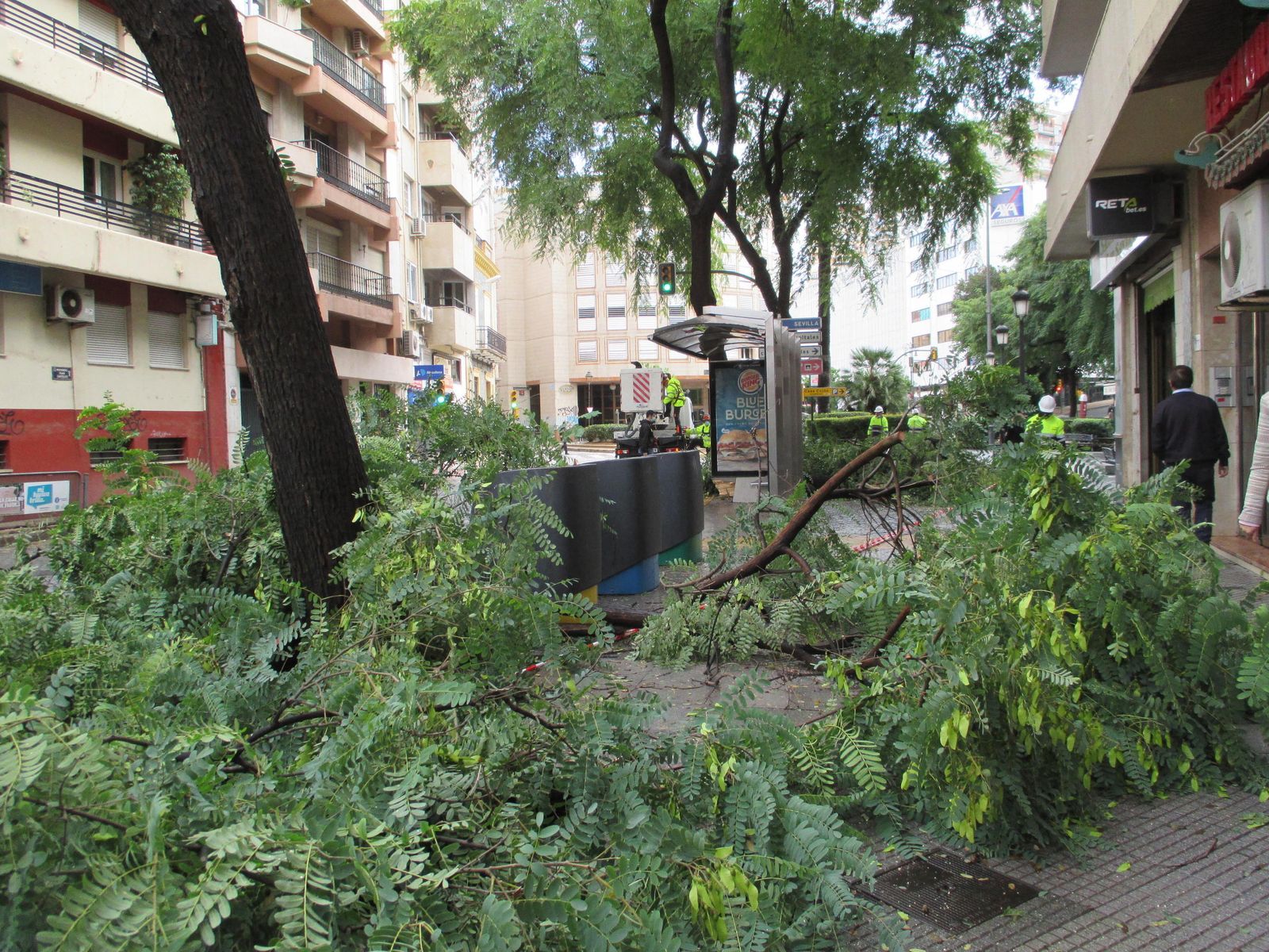 Ramas sobre el suelo tras las fuertes lluvias de la noche, en la calle Puerto de la capital onubense.