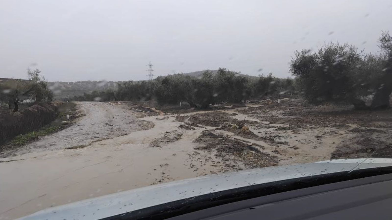 Riadas en la Cañada Real Sevilla-Granada en los accesos a la obra del tramo Valle del Genil