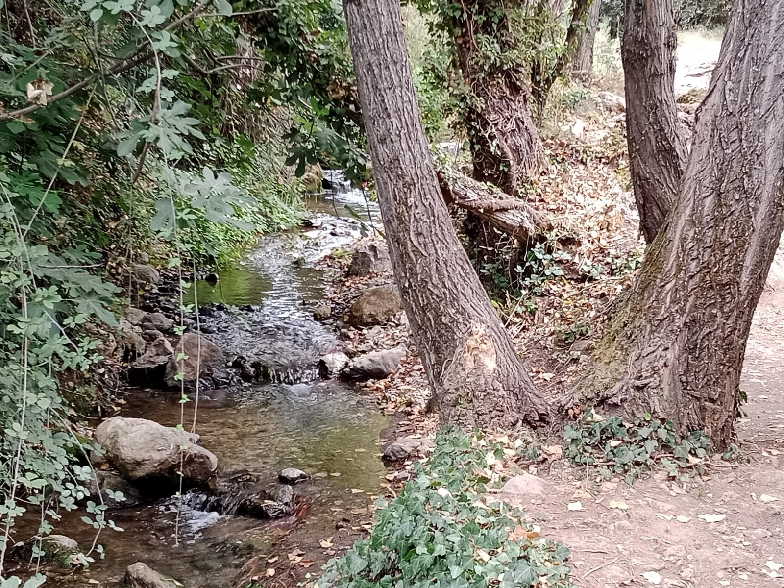 Así está en septiembre la preciosa cascada que puedes ver en Jaén