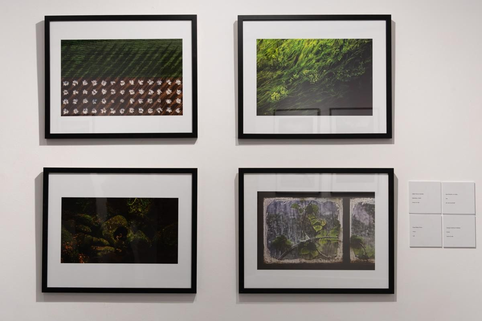 Exposición La Tierra, corazón de la vida, en imágenes