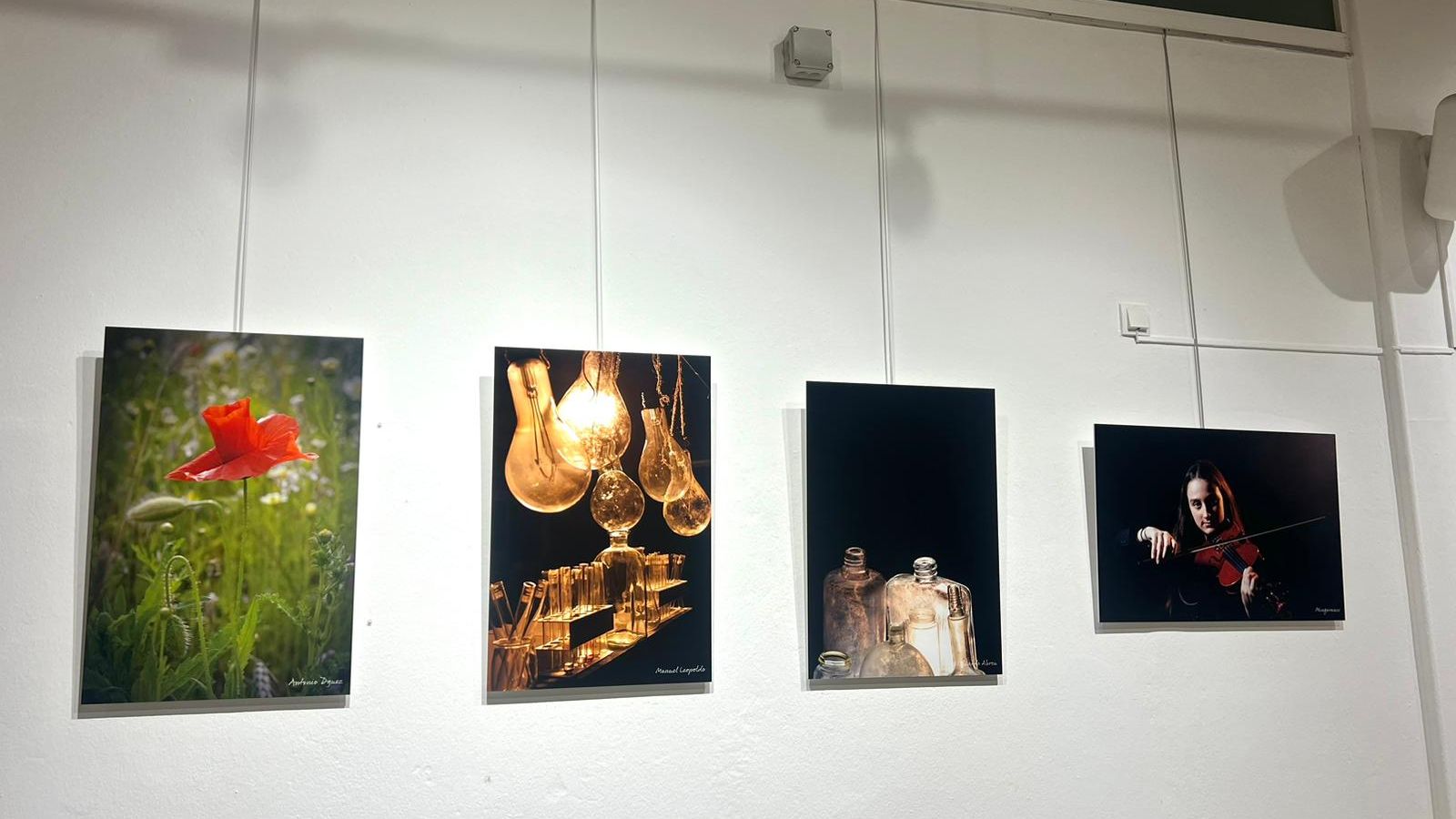 Exposición 'Donde tú miras' en La Antilla.