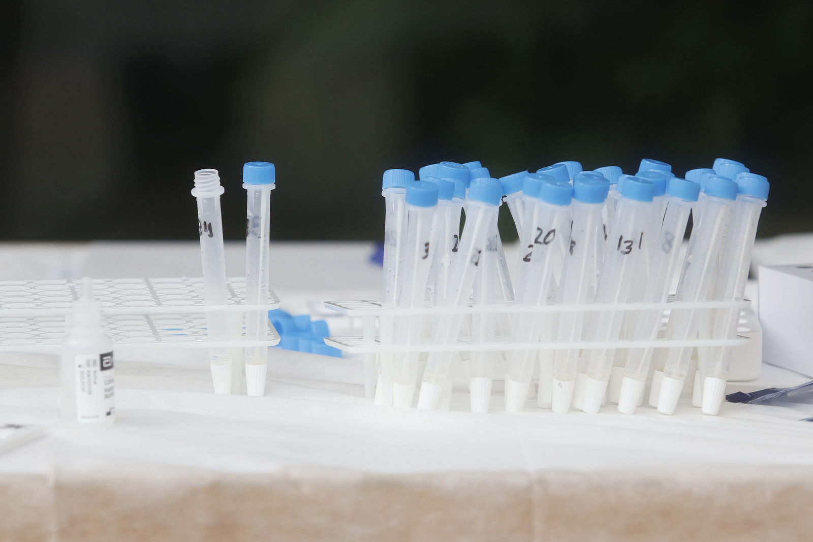 El cribado masivo de covid-19 en Lucena, en fotografías