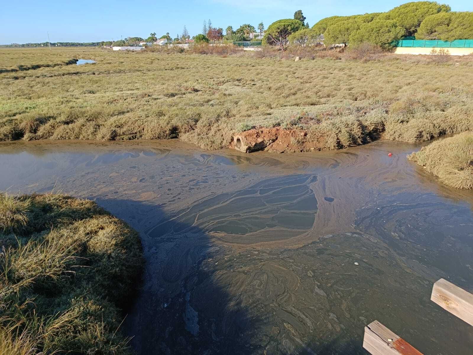 Descartado un vertido de aguas fecales en Marismas del Odiel.