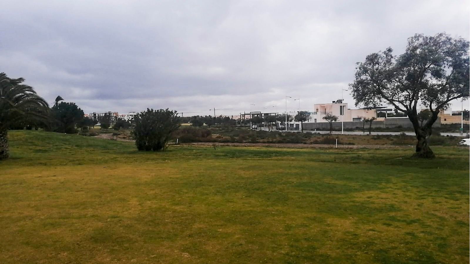 Una de las parcelas de El Toyo del Ayuntamiento