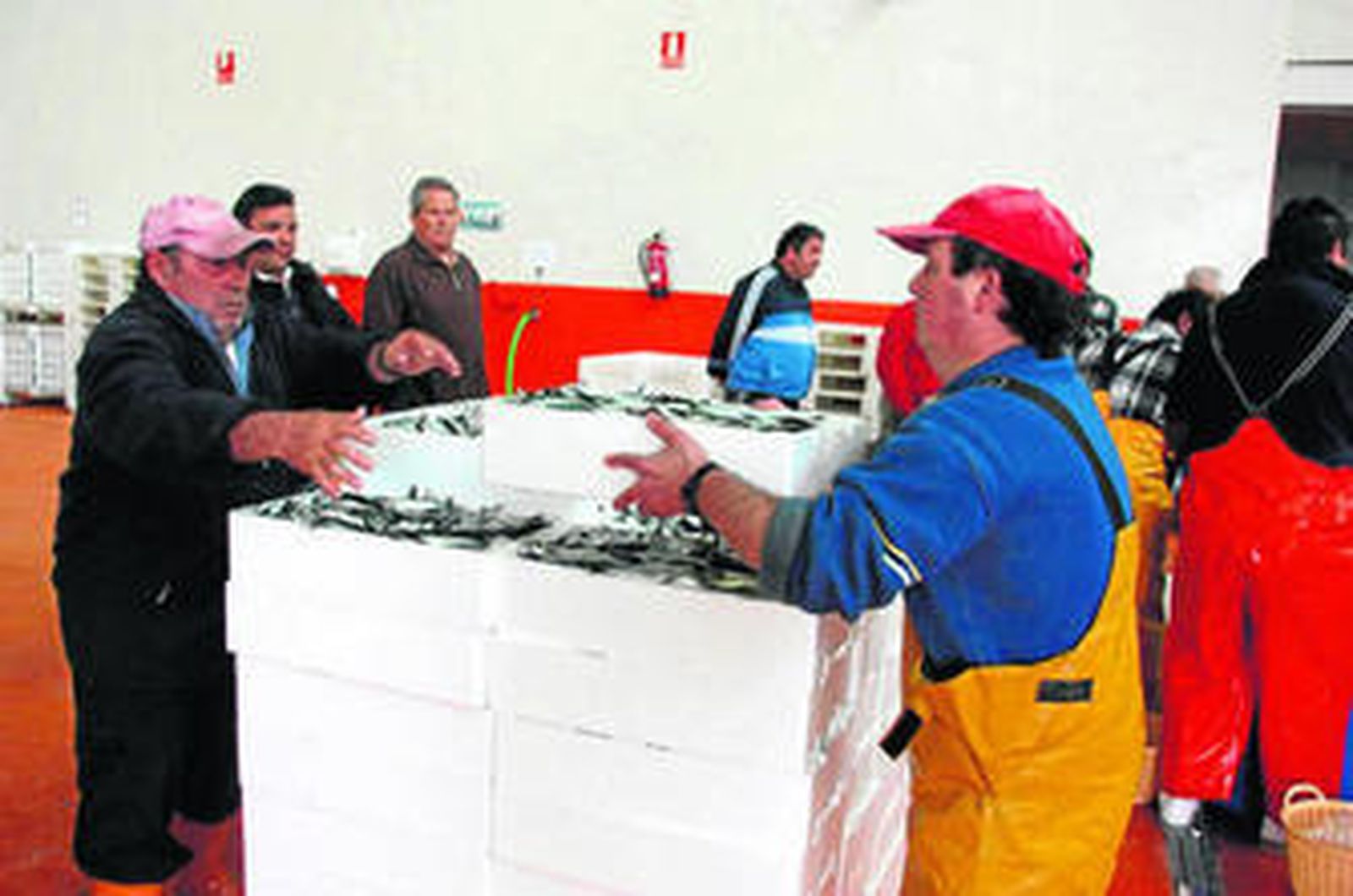Clasificación del boquerón en la lonja de Punta Umbría.