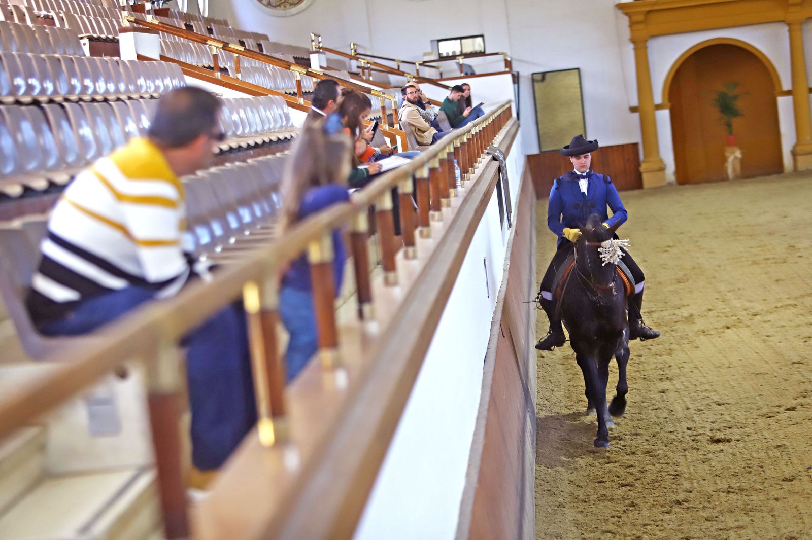 XVII Campeonato de Andalucía de Doma de Alta Escuela