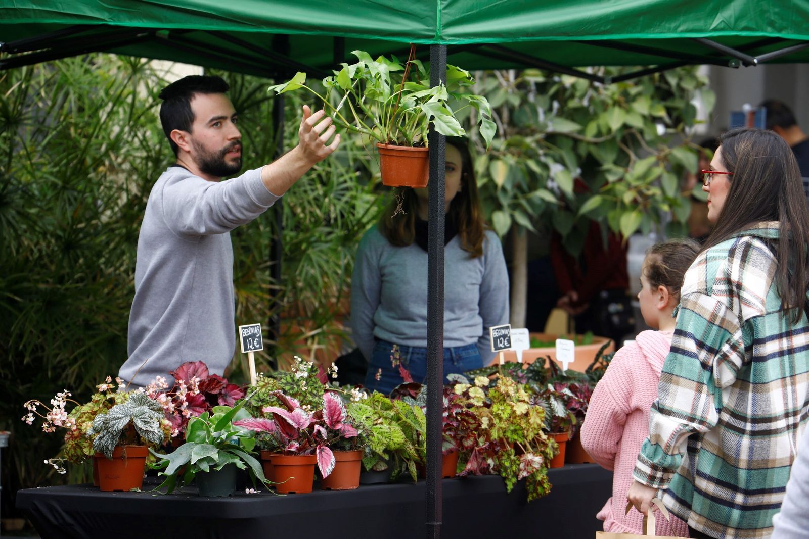 Así es la III Feria de las Orquídeas de Córdoba, en fotografías