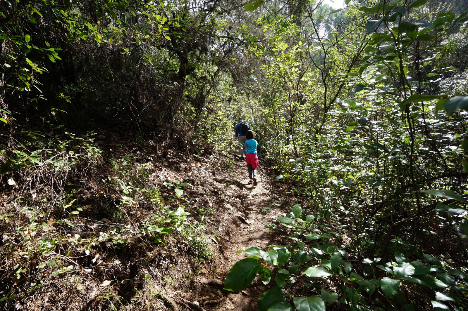 Una ruta por los Baños de Popea en Córdoba, en fotografías