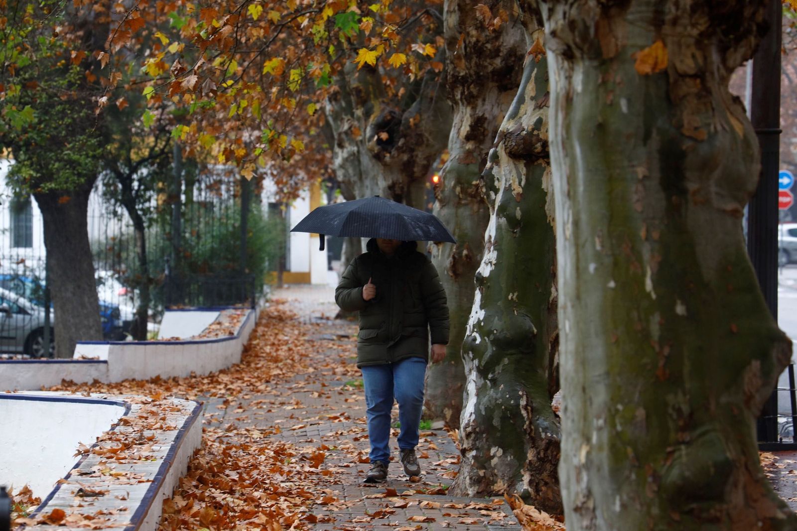 El paso de la borrasca Goretti por Córdoba