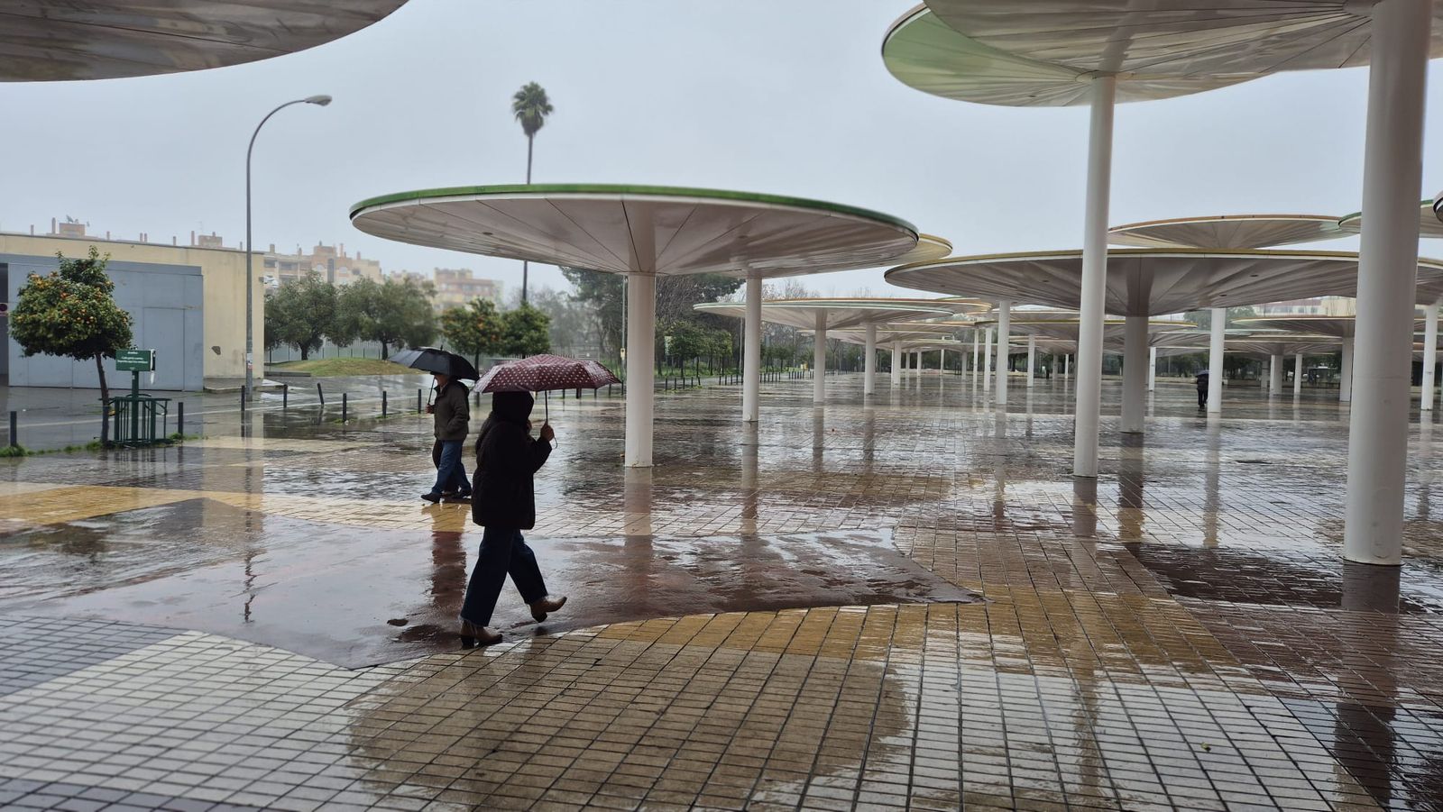 Zona de las setas durante el paso del temporal de borrascas de la primera semana de febrero de 2026.