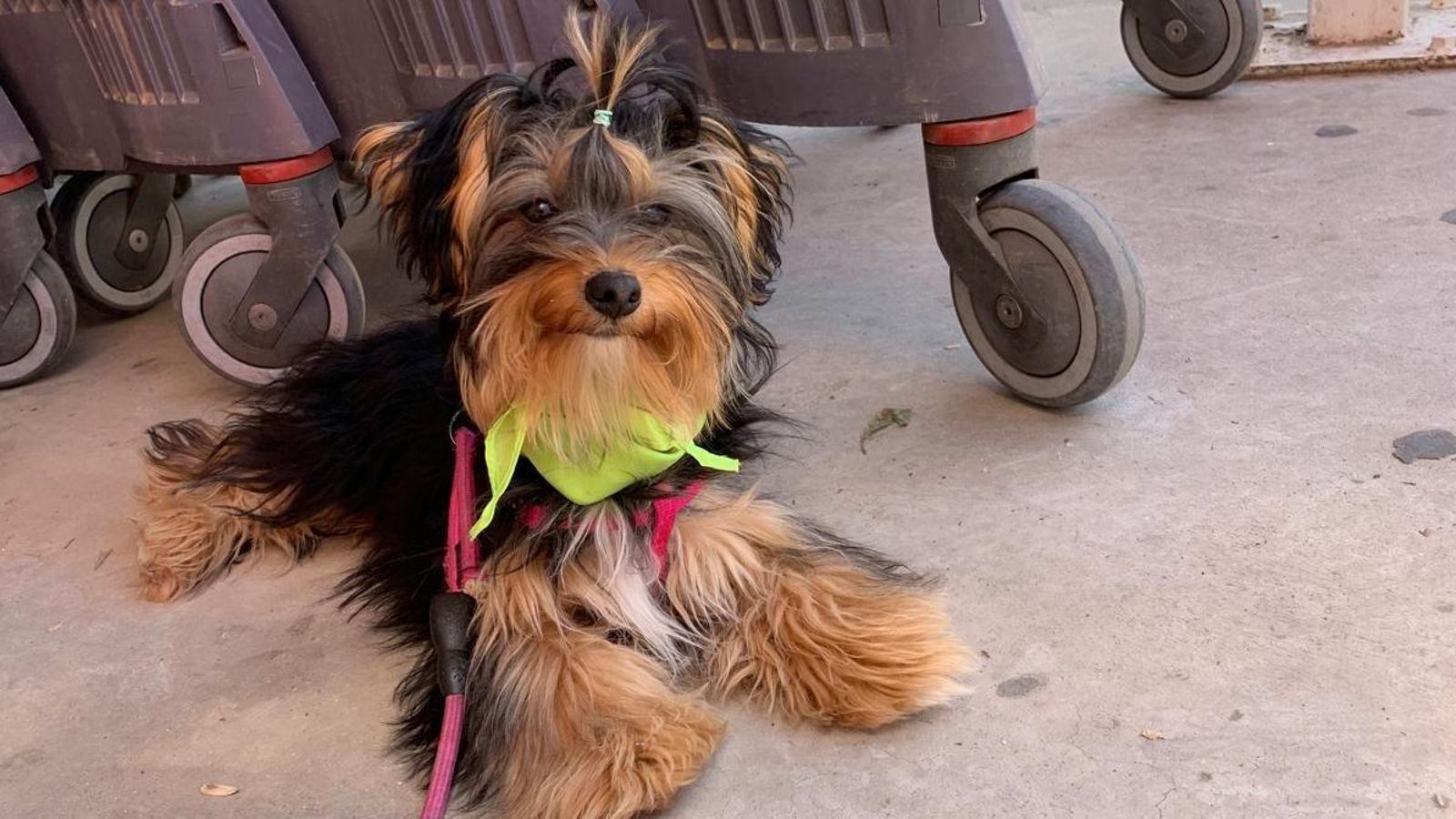 Lía en su día a día.