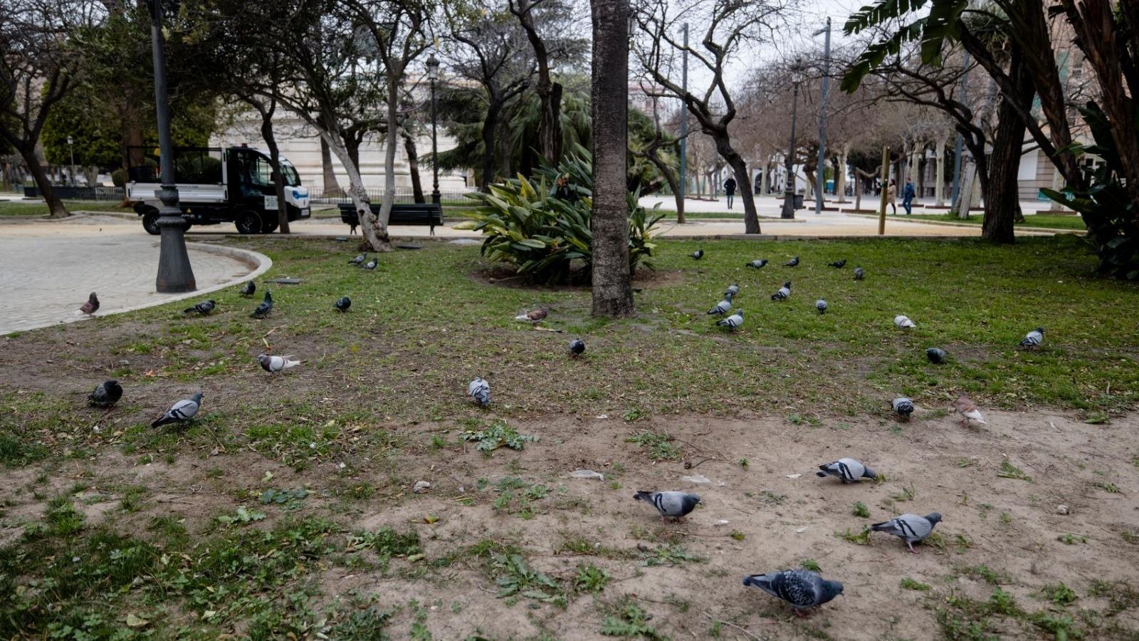 Otro de los tramos del jardín aún en mal estado.