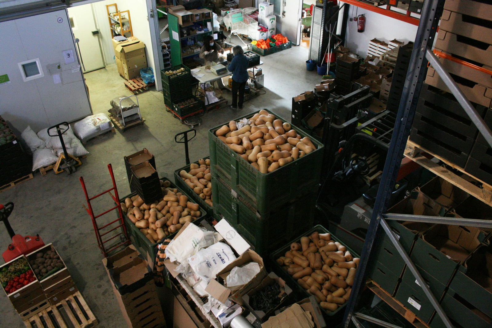 Interior de una cooperativa hortofrutícola granadina