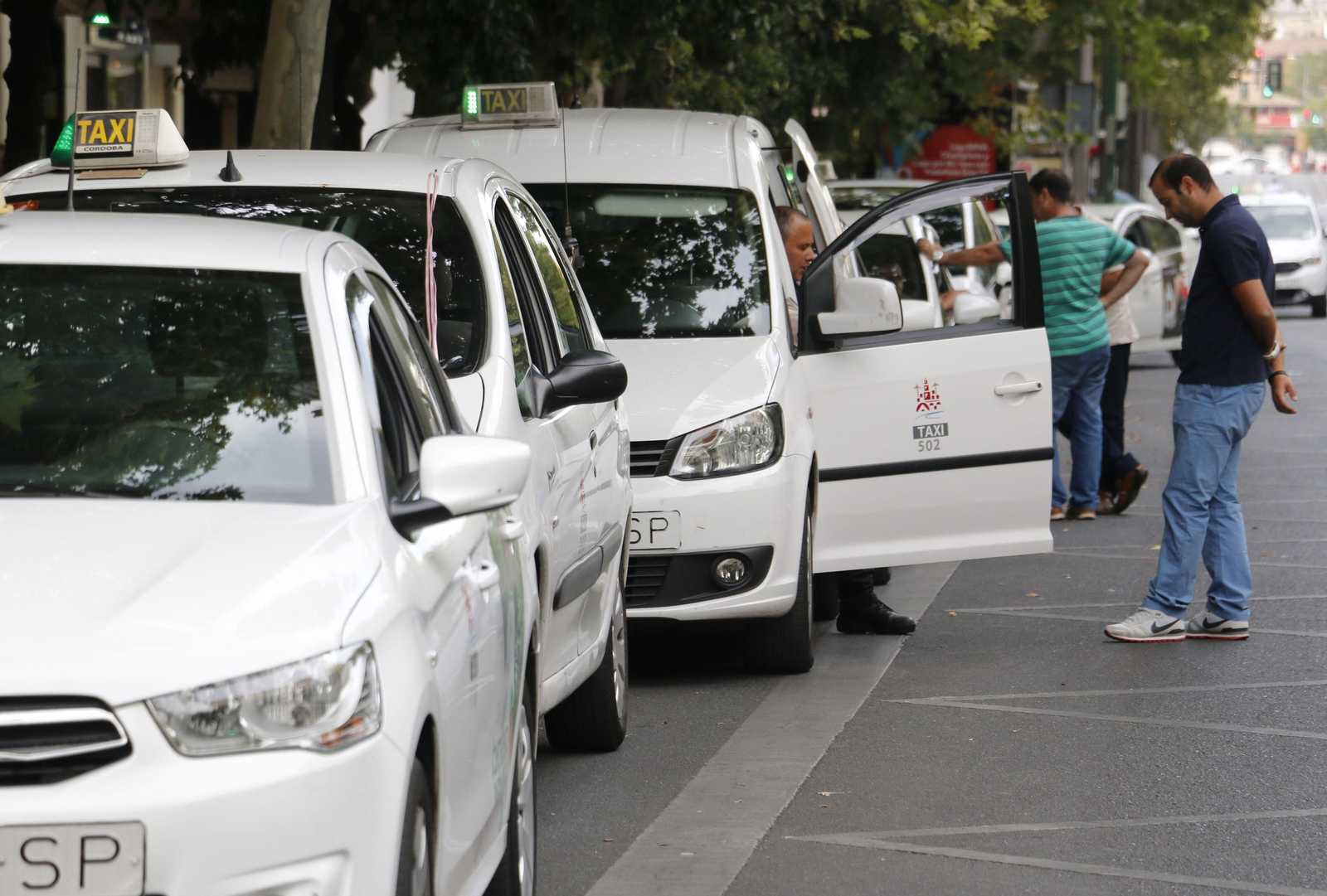 Una hilera de taxis detenidos en la céntrica avenida del Gran Capitán