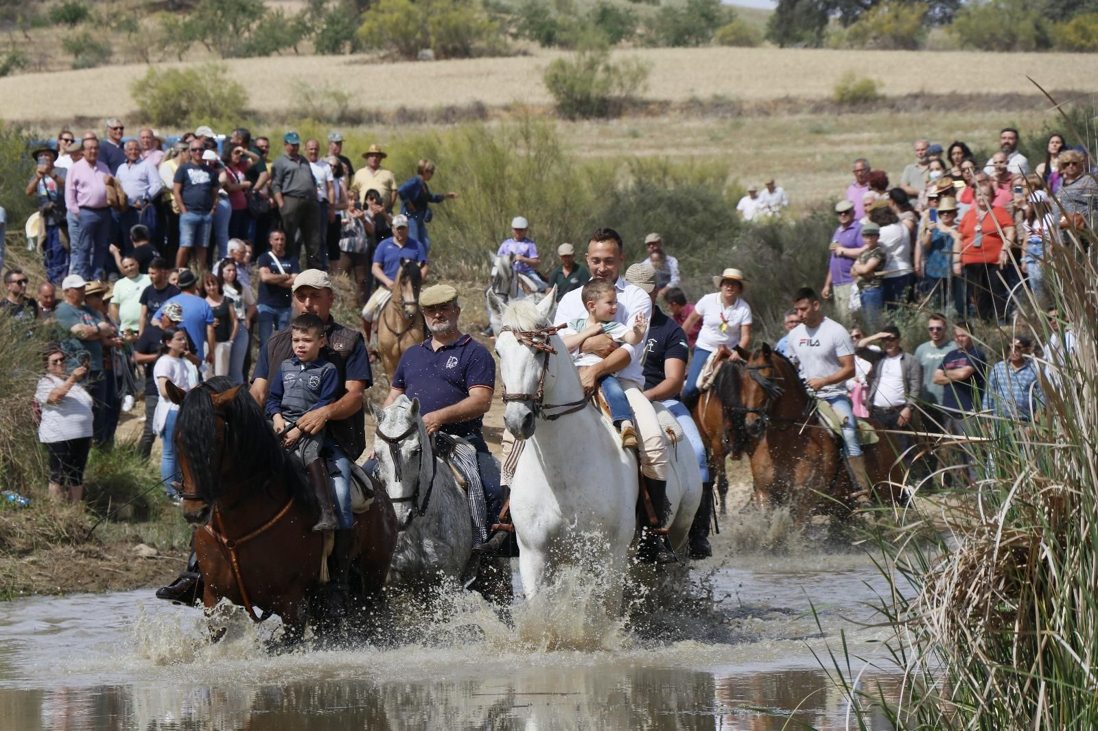 Las mejores imágenes de la romería de Nuestra Señora de Gracia de Alcantarilla en Belalcázar