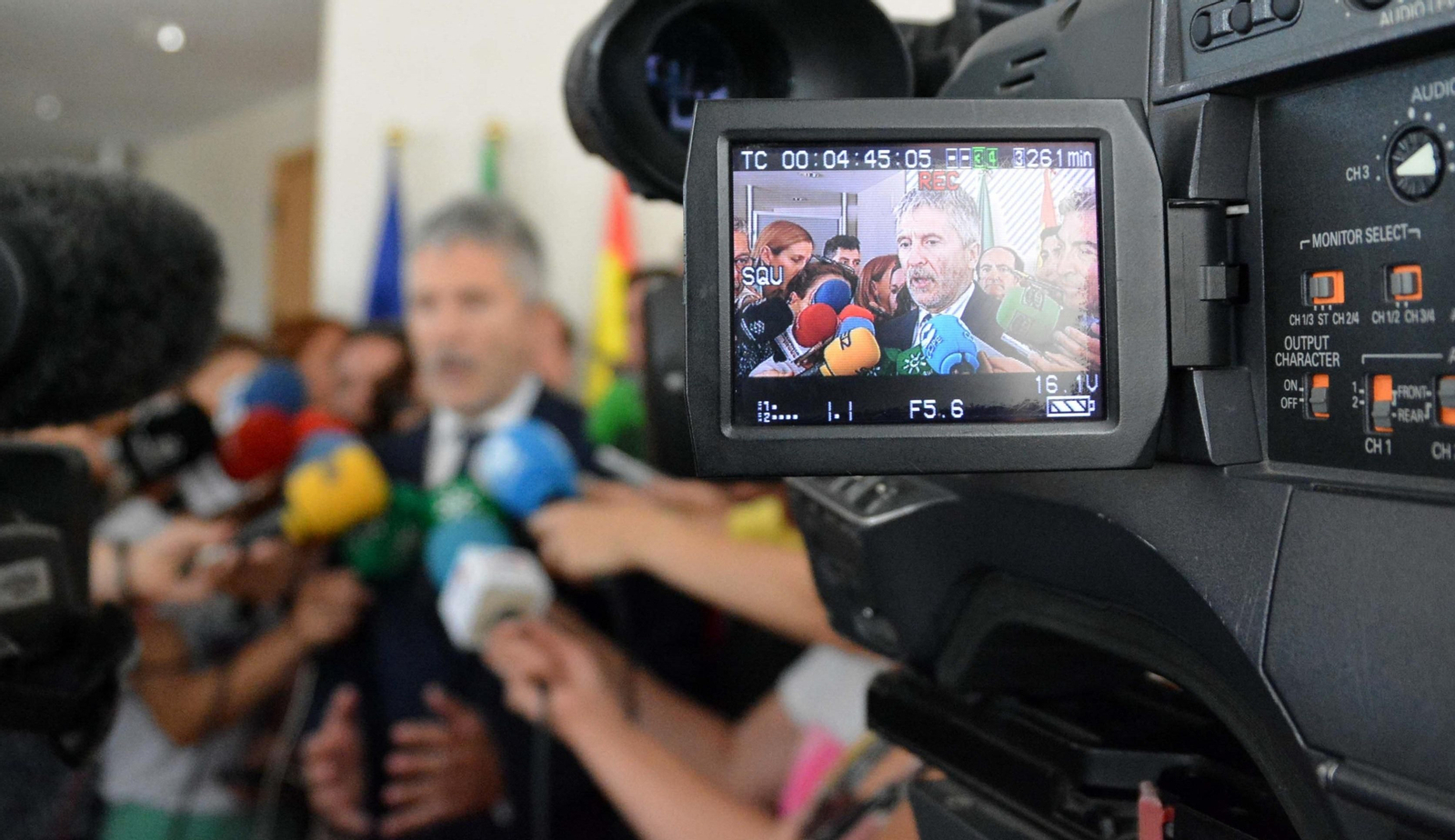 Fernando Grande-Marlaska, ministro del Interior.