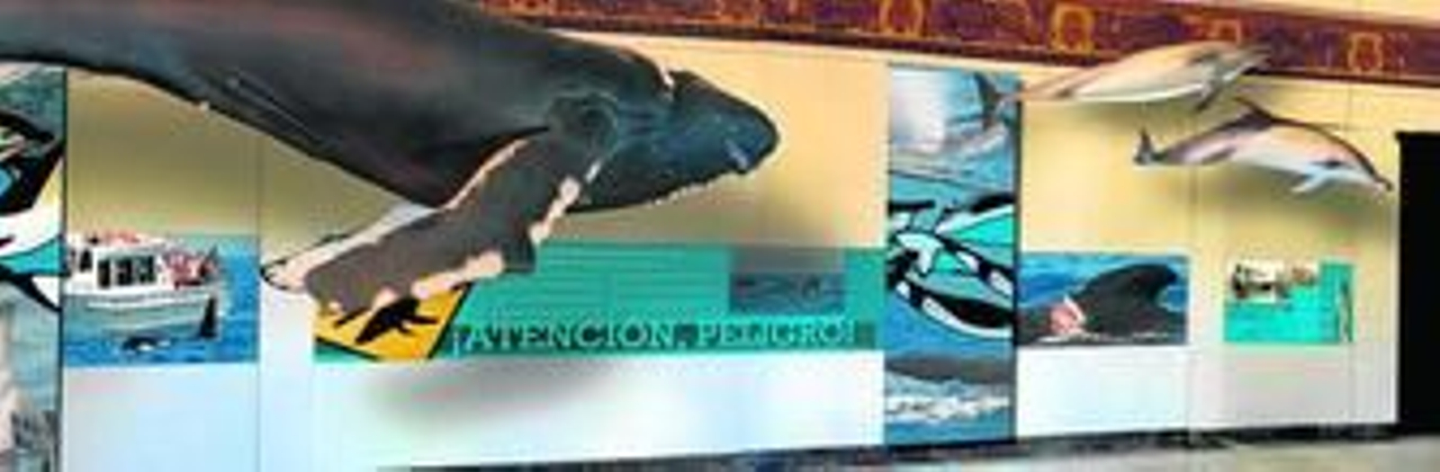 Imagen de la sala dedicada a los cetáceos, con una espectacular reproducción de una ballena.