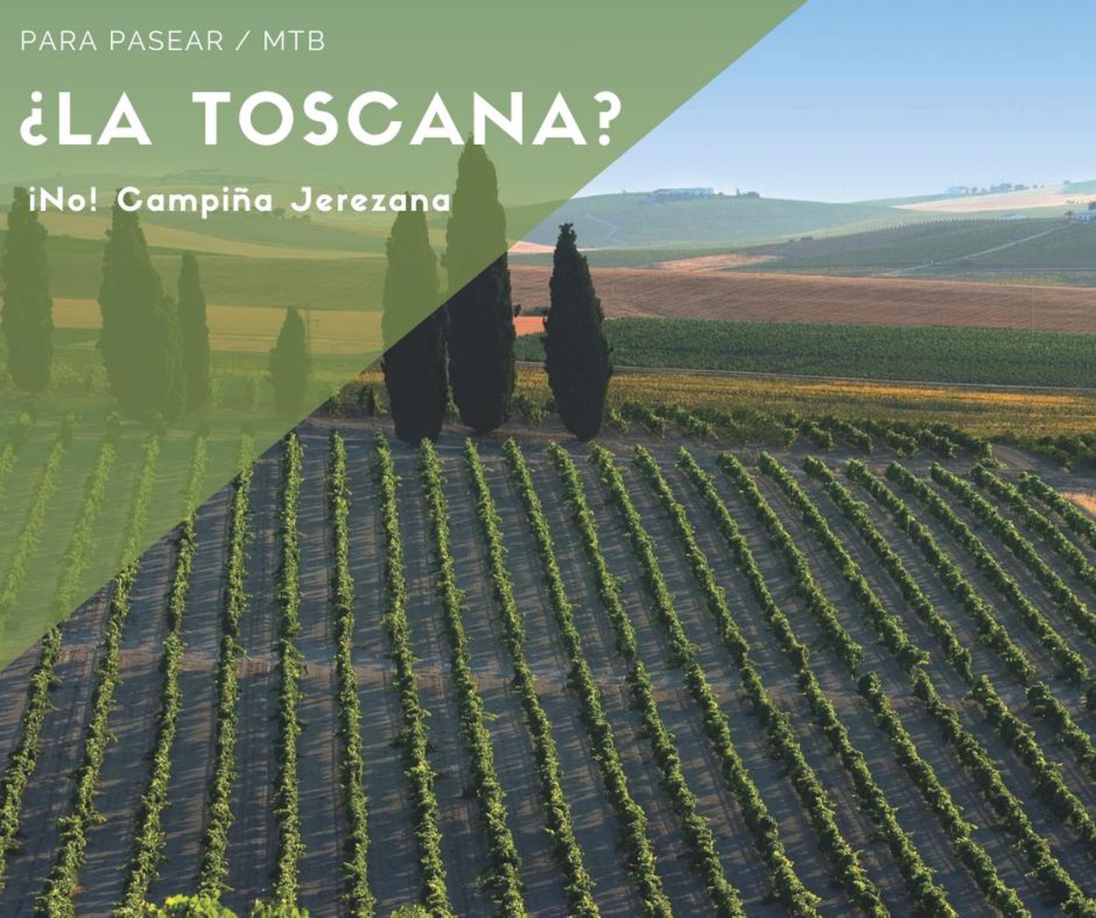 El Clúster lanza una campaña de promoción para promover entre los jerezanos el turismo en la ciudad