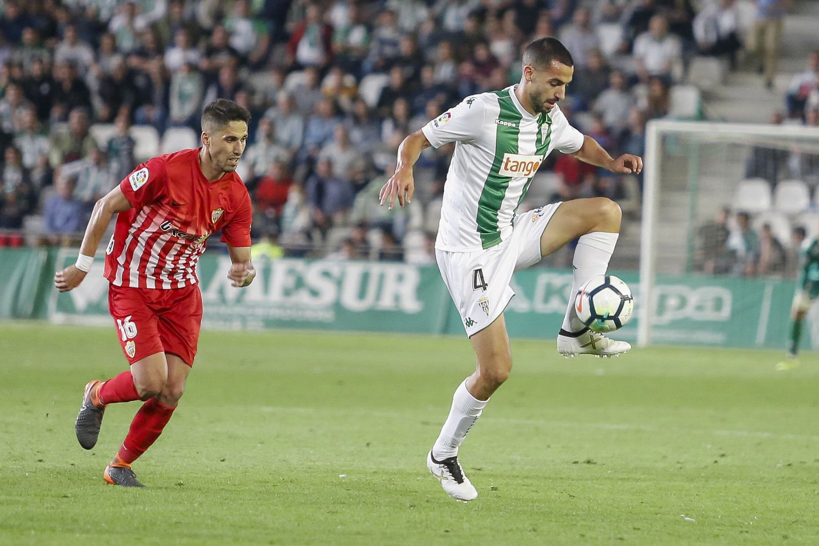 Las imágenes del Córdoba-Almería