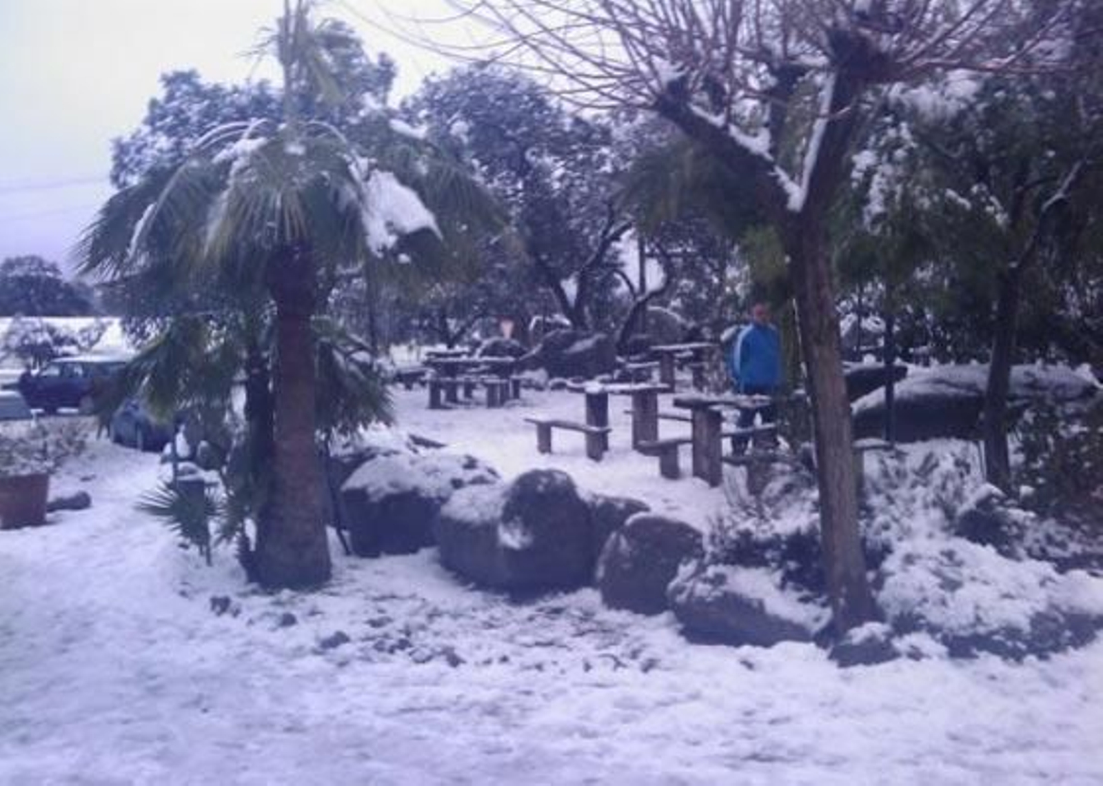 Entre Cazalla y el Pedroso, todo cubierto de nieve./ José Barrios Domínguez