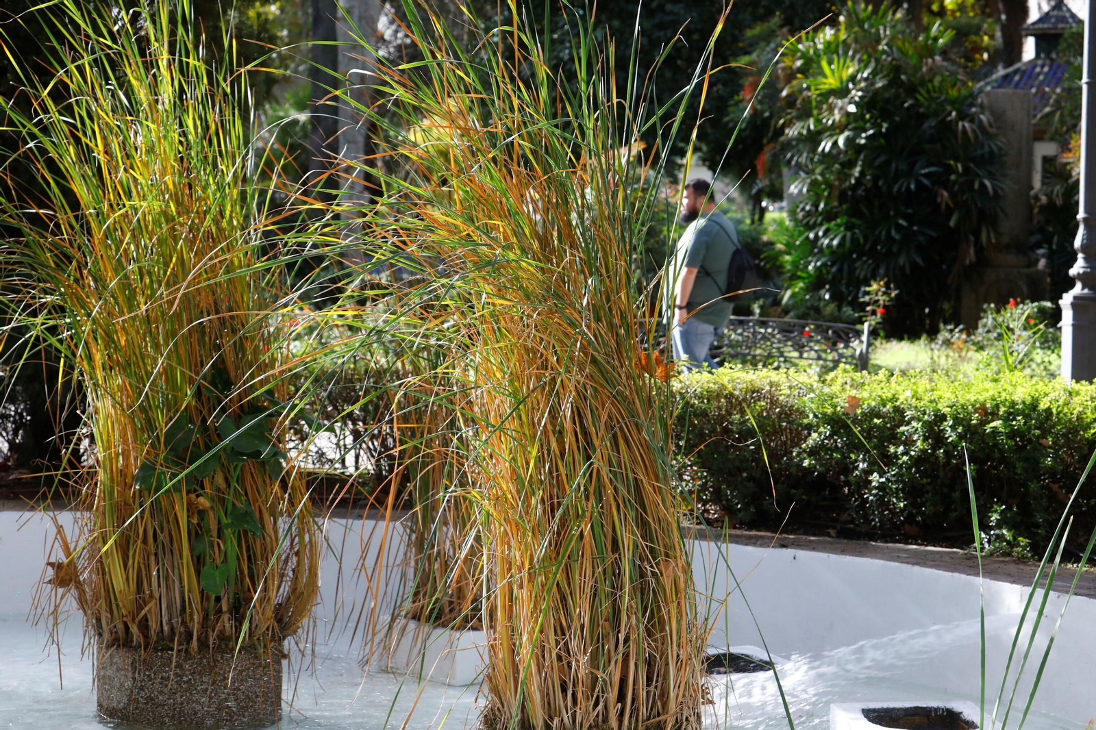 La belleza de los Jardines de la Agricultura de Córdoba, en imágenes