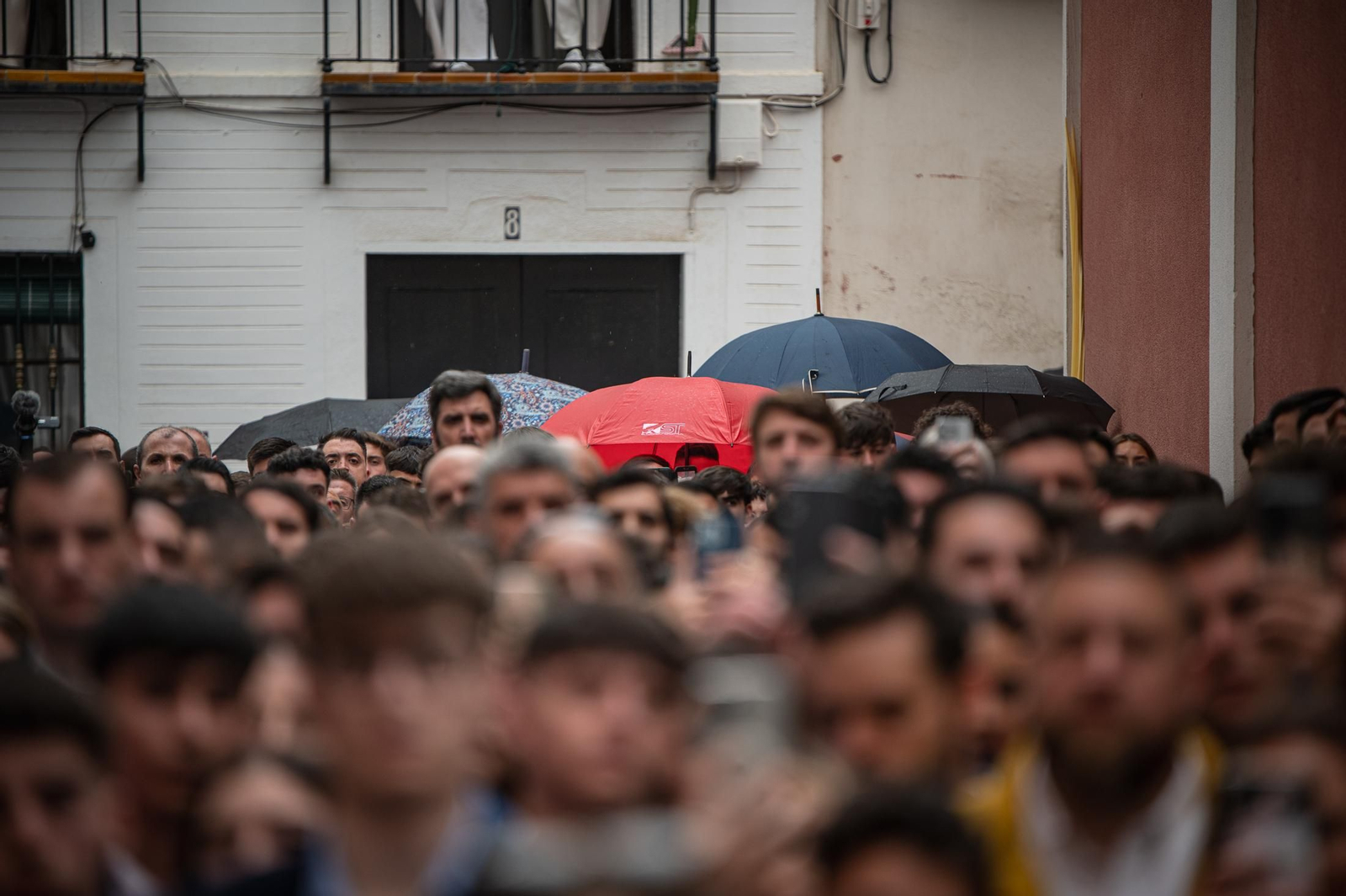 Las imágenes de la Hermandad de Jesús Despojado en la Semana Santa de Sevilla 2024