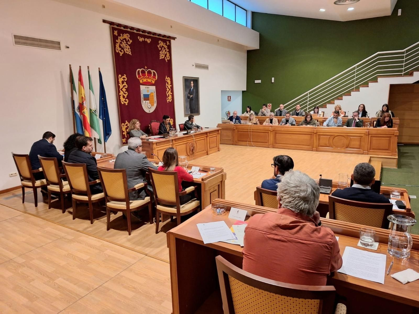 La sesión plenaria celebrada este miércoles.