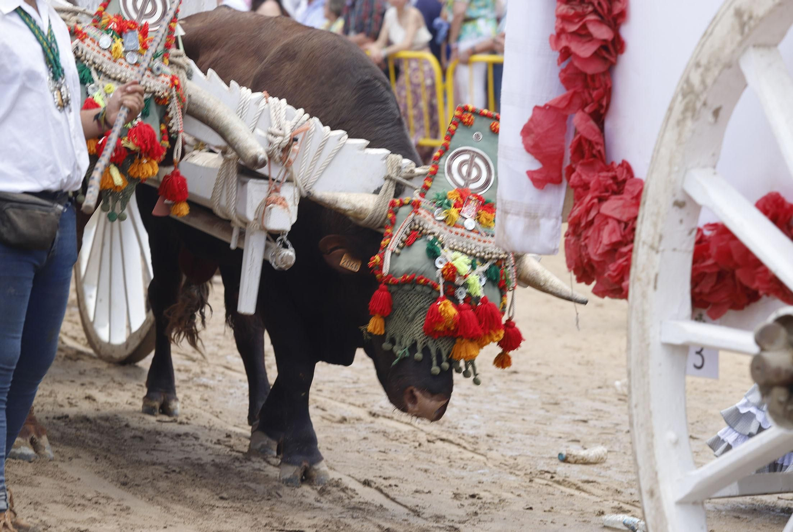 Rocío 2022: Presentación de las Hermandades