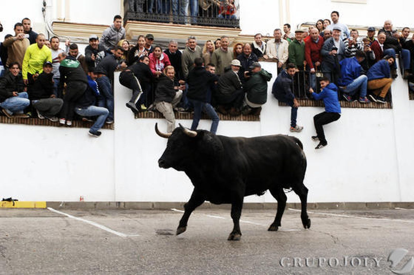 Un hombre resultó herido grave por una fuerte cornada en el abdomen en Arcos. Vejer, Paterna o Benamahoma también vivieron su fiesta

Foto: Ramon Aguilar