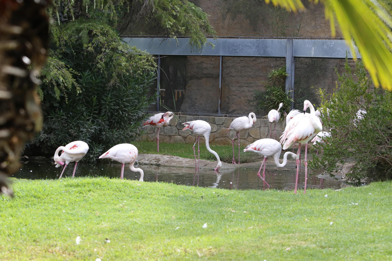 Las imágenes de la reapertura del zoo de Córdoba