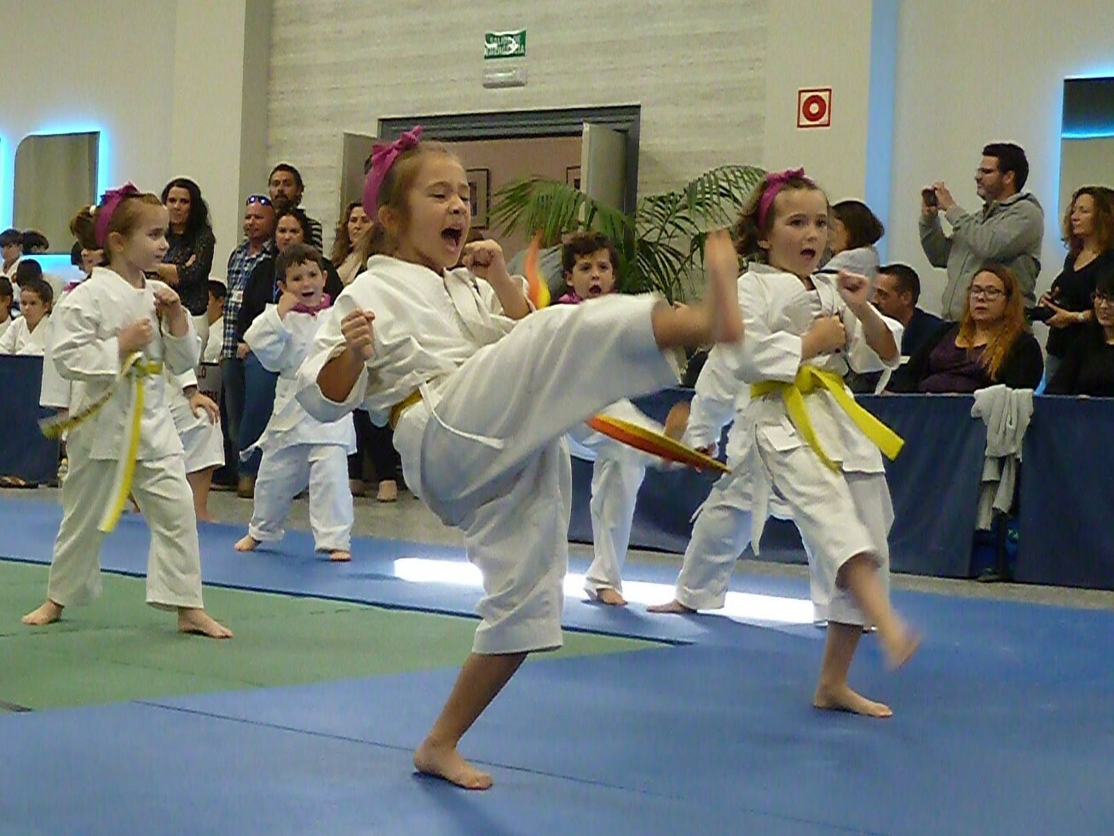 XII Gran Gala Solidaria de Artes Marciales en el Club Nazaret