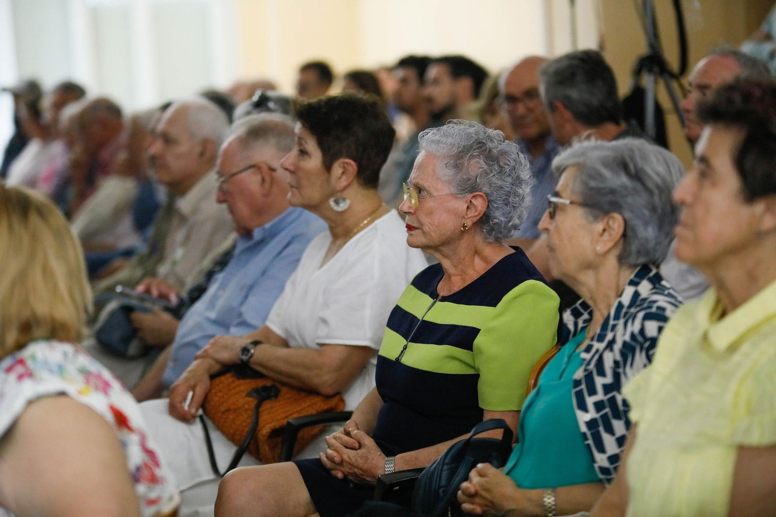 Imágenes de la entrega de los Escudos de Oro del IEA y la celebración de su Plenario