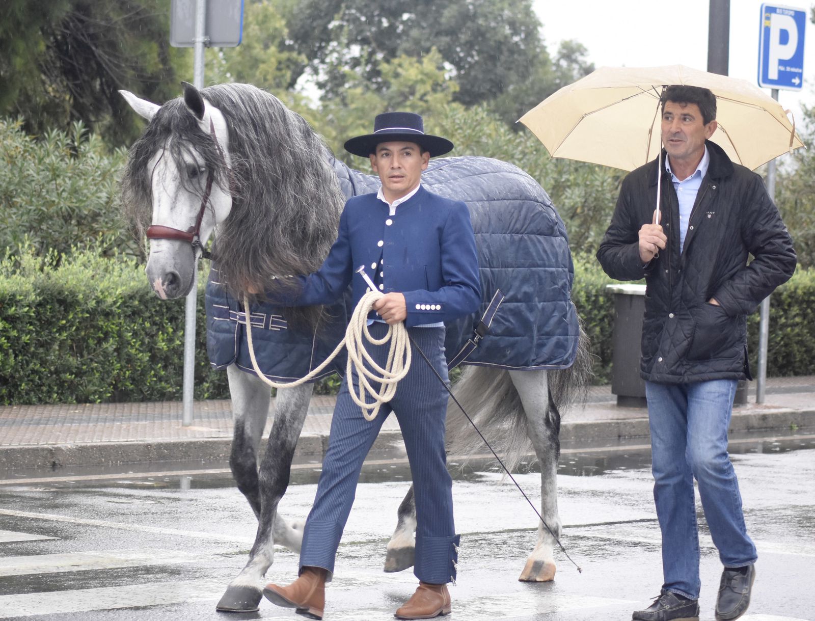 Las imágenes de la Magna Marcha Ecuestre