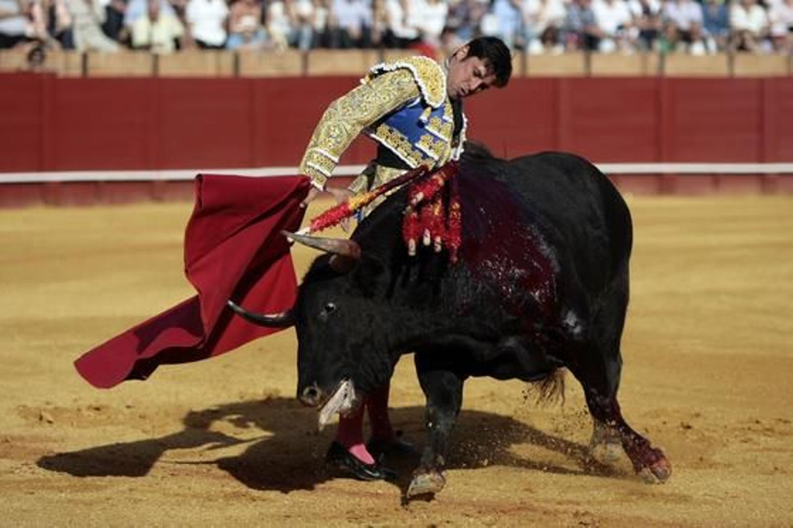 Foto: Juan Carlos Muñoz