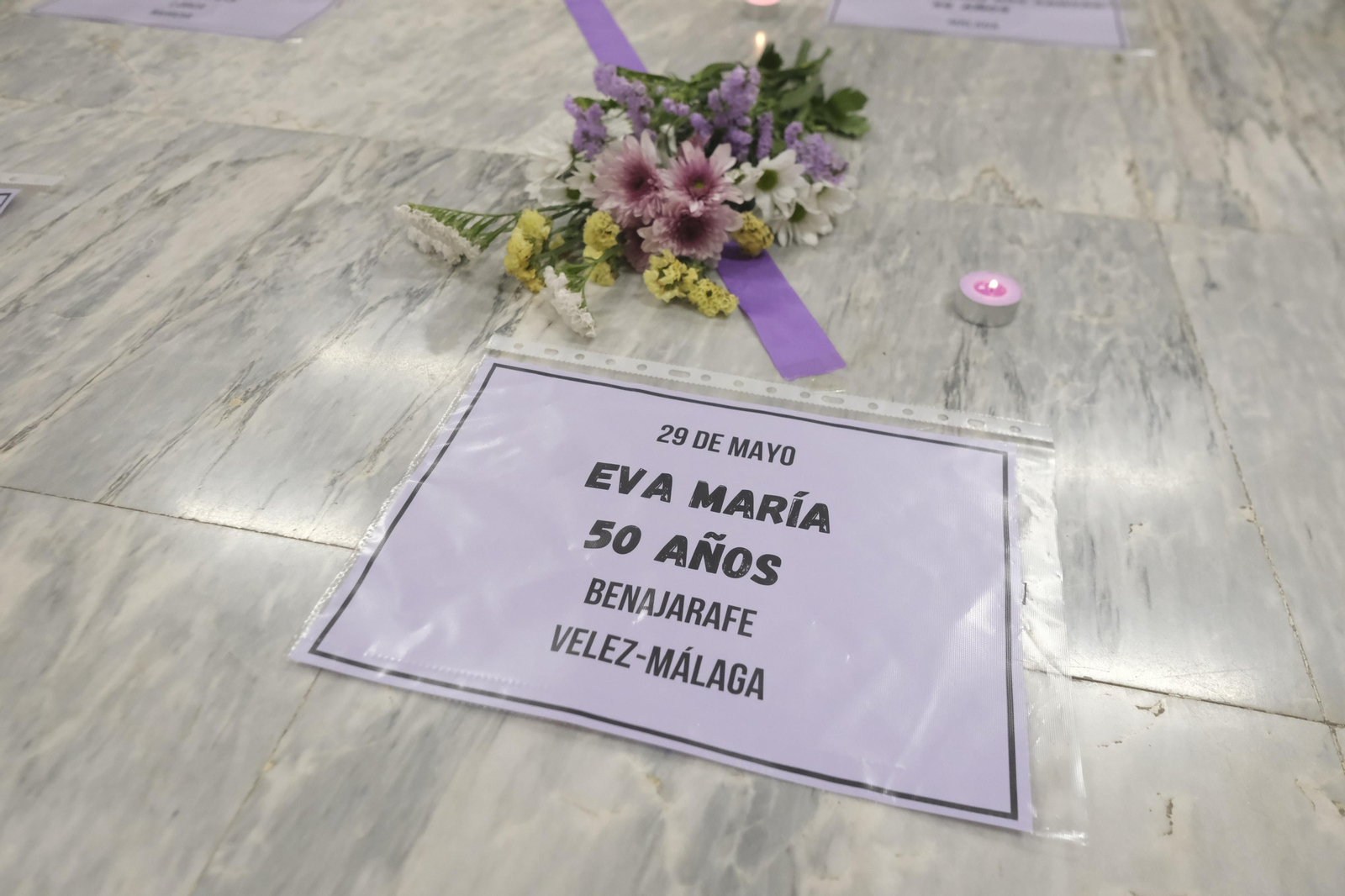El Pleno del Ayuntamiento de Córdoba contra la violencia a las mujeres, en imágenes