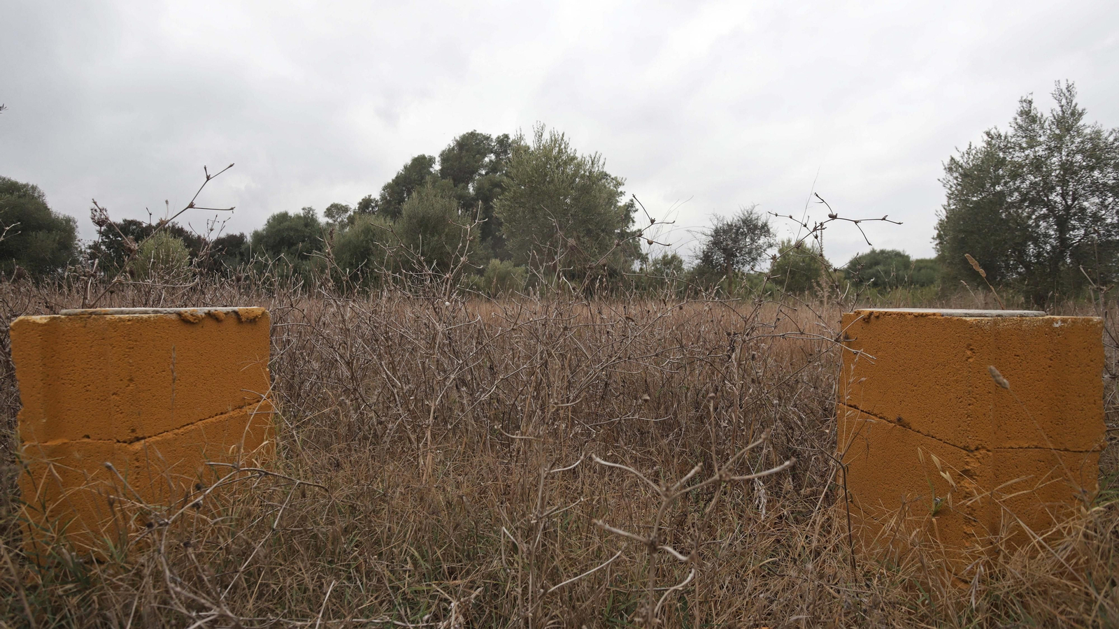 Fotos del parque del Torrejón en Algeciras