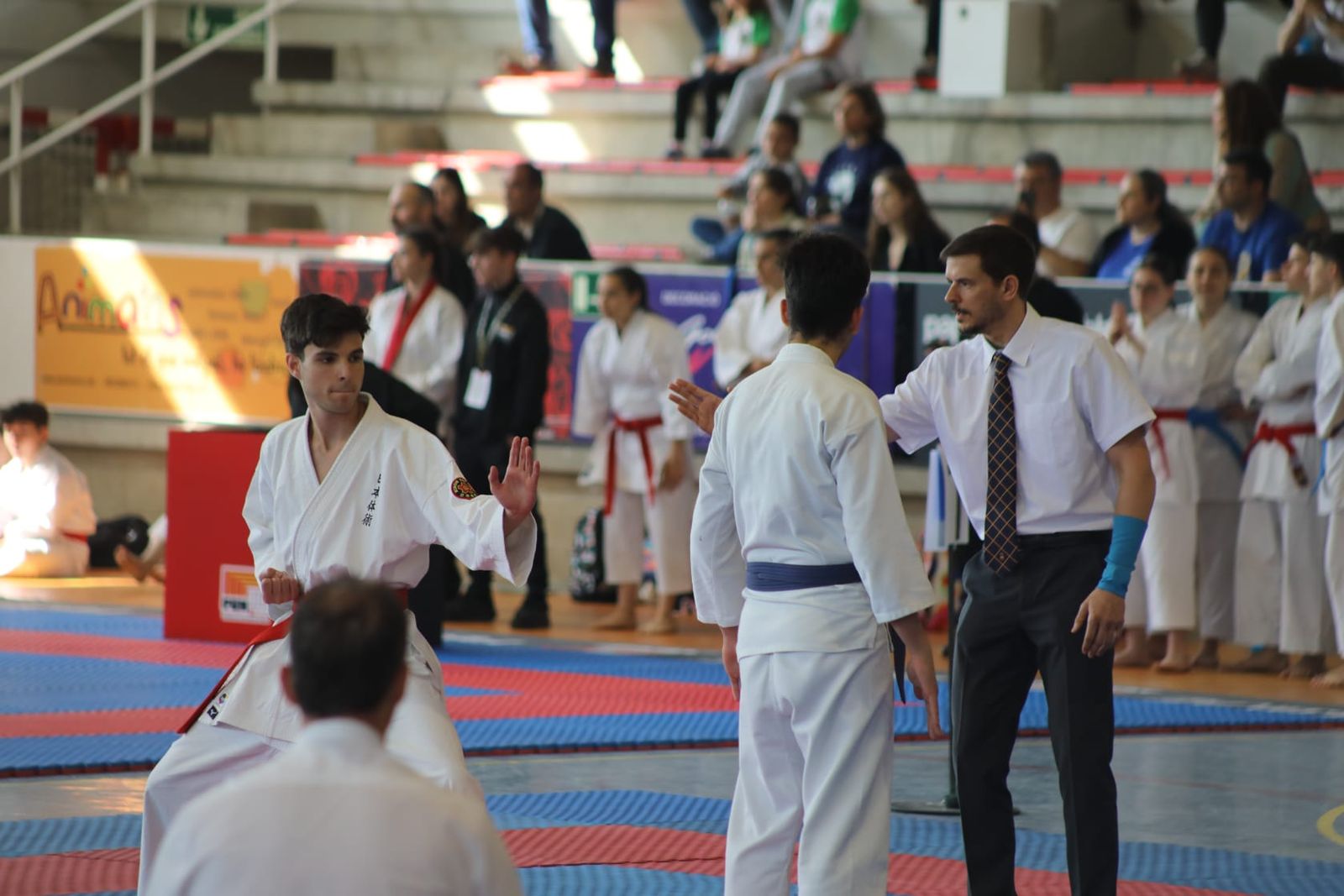 Las mejores imágenes de la Escuela de Nihon Tai-Jitsu del Club Nazaret en el Campeonato de España