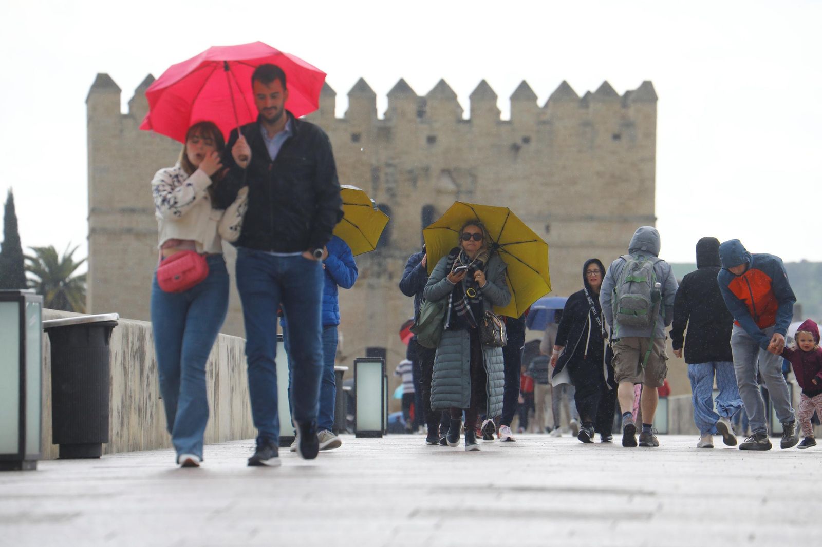 El paso de la borrasca Nuria por Córdoba, en imágenes